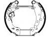 Zapata de freno Brake Shoe Set:4241.6A